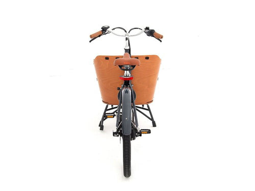 Babboe Mini Mountain ENV HD 500 26 Zoll